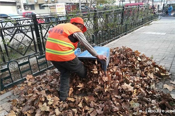 秋冬季地面清洁让全封闭扫地车来帮你