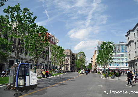 湖北某村委会采购电动扫地车进行保洁消杀工作